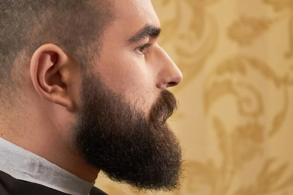 tipos de barba 