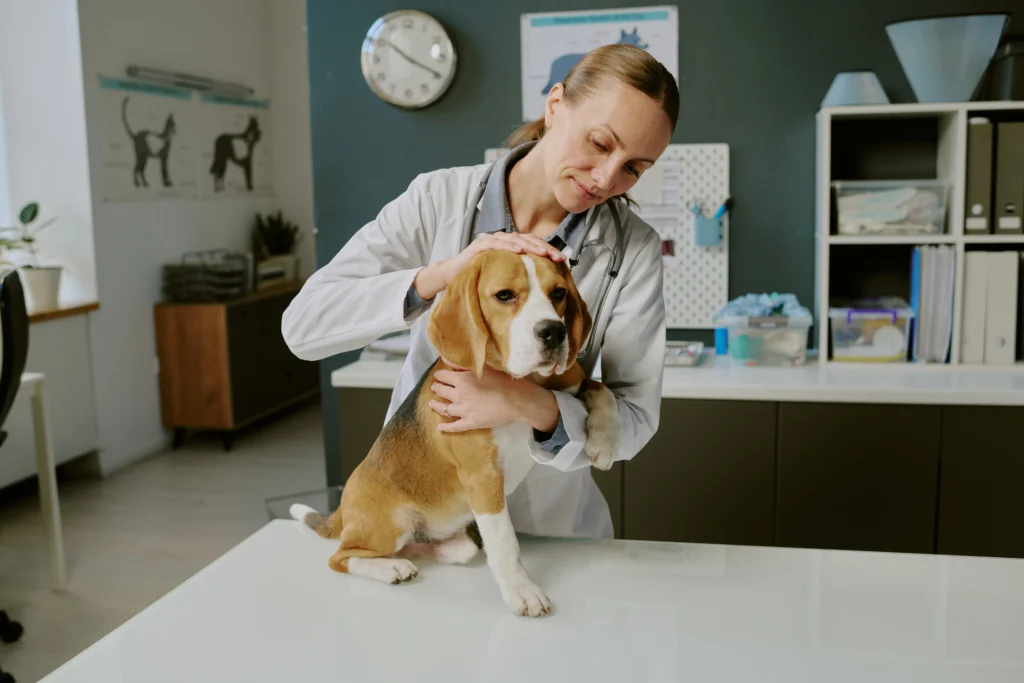 Como abrir una clínica veterinaria en México