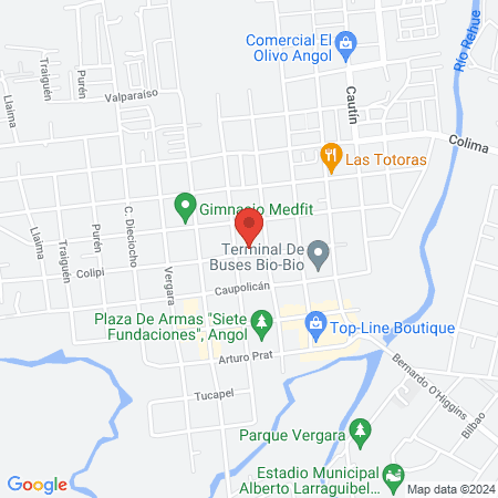 Richard Figueroa Y Cia. Limitada map