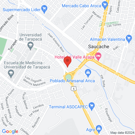 Clinica Veterinaria Evolución Animal map