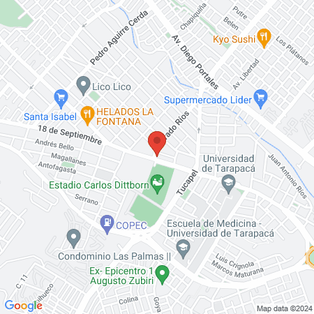 DOPPLERVET Centro de Especialidades Veterinarias Arica map