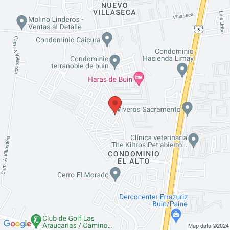 Muluk Belleza Integral map