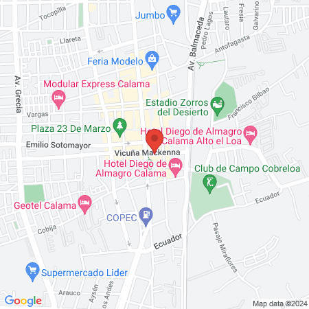 Lion King barbería calama map