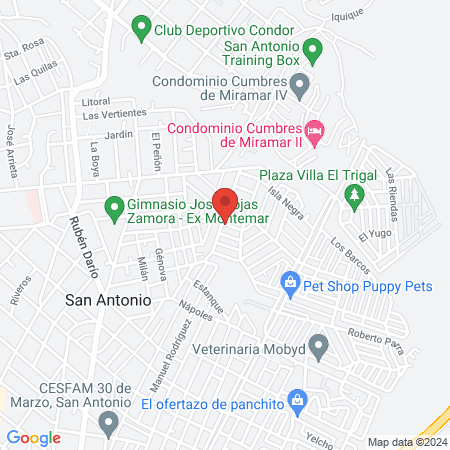 clinica Veterinaria Mundopet map