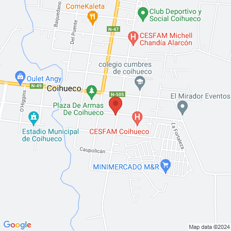 Centro Veterinario Coihueco map