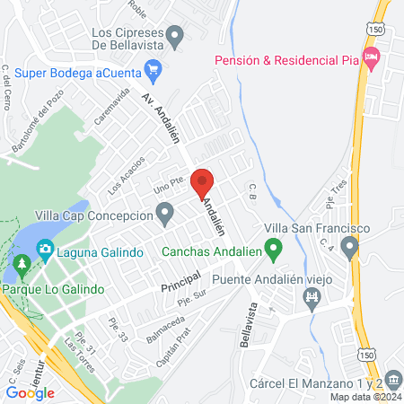 Clinica Veterinaria Andalién map