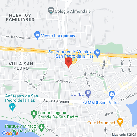 Clinica veterinaria PATITAS NEGRAS map