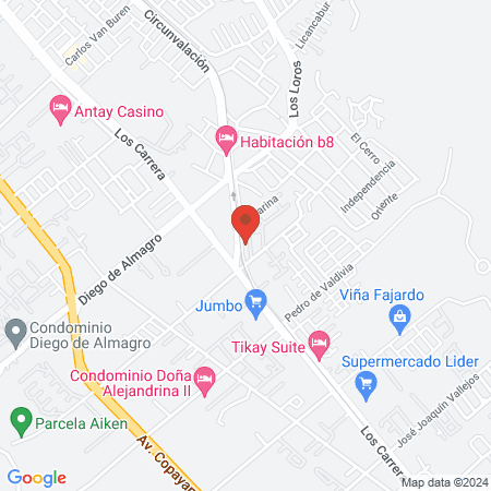 Estética Canina Copiapó map