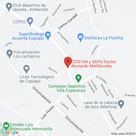 CESFAM y SAPU Doctor Bernardo Mellibovsky map