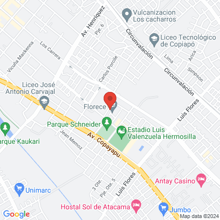 Sociedad de Inversiones y Servicios Cardionort map