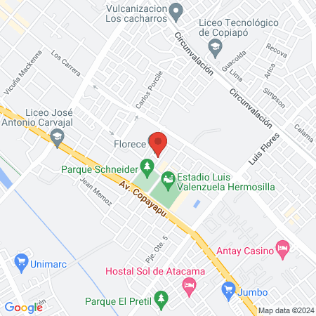 CLÍNICA VETERINARIA VETSALUD map