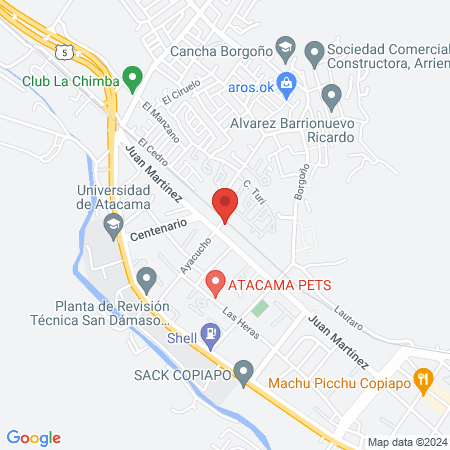 CENTRO QUIRÚRGICO VETERINARIO CEQVET map