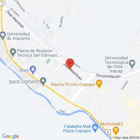 Consulta veterinaria Dr. Ricardo Veliz G. map