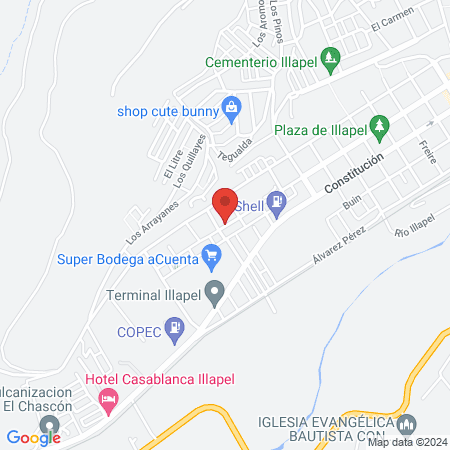 Veterinaria Yastay map