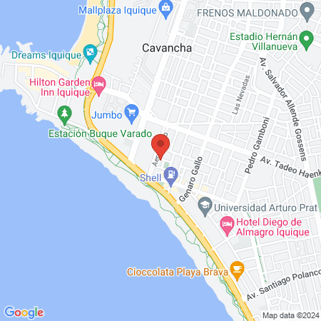 Clinica Veterinaria Zion Vet map