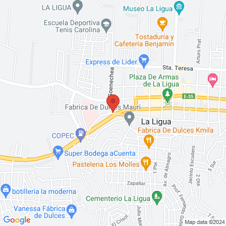 Ligua Salud Centro Medico map