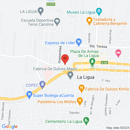 Clínica Veterinaria Pet Medical map