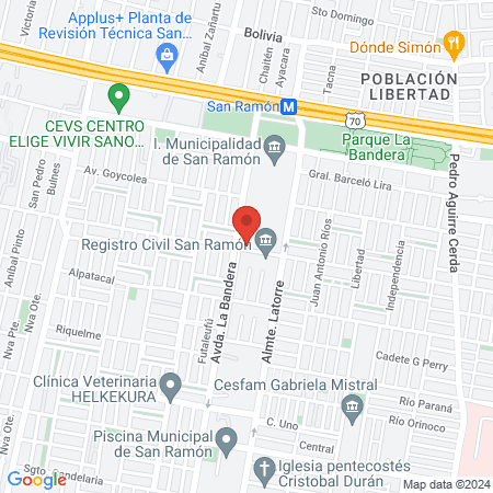 Consultorio La Bandera map