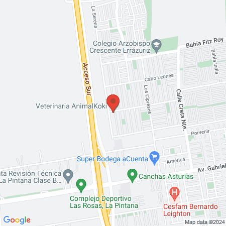 Veterinaria AnimalKoki map