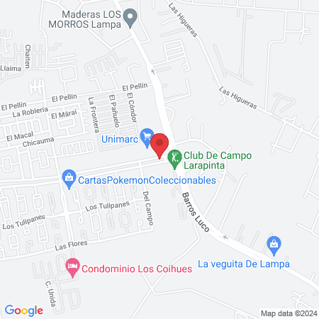 Paulina M. Ibarra Argandona map