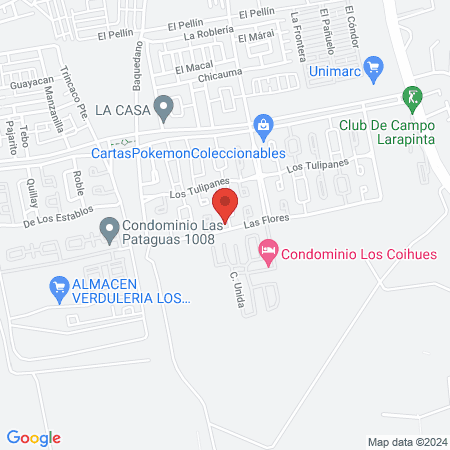 Clinica veterinaria Vet n' Rock map