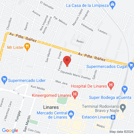 Veterinaria Holística Prem map