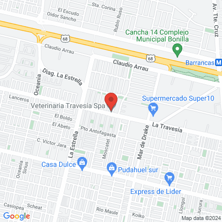 Veterinaria Travesía Spa map