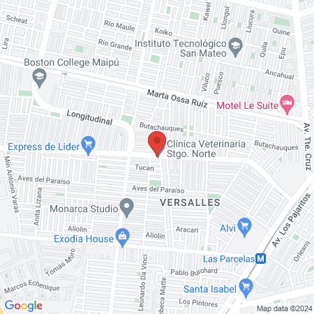 Clínica Veterinaria Stgo. Norte map