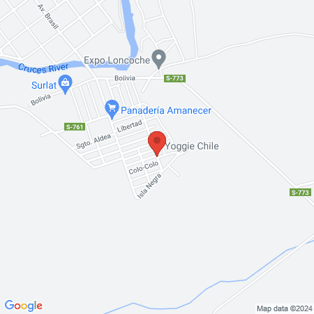 Masaje integral loncoche map