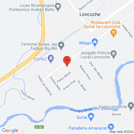 shaolin chan loncoche map