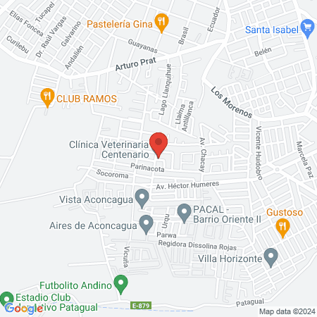 Clinica Veterinaria Centenario map