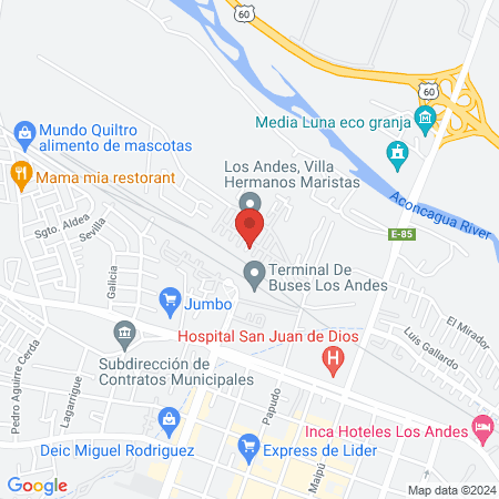 Consulta Veterinaria Dr Bunster map