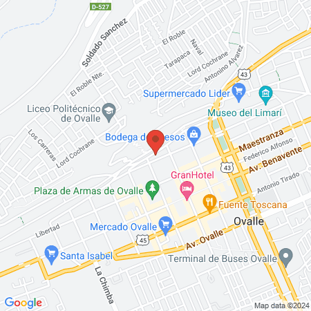 Veterinaria Patricio Roco Argandona y Compañía map