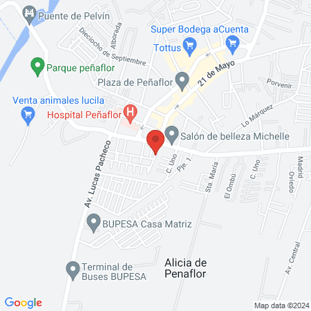 Consulta Dental El Guindal map