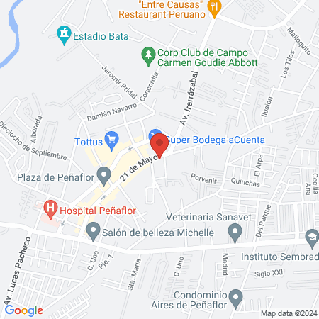 MediCentro Peñaflor map
