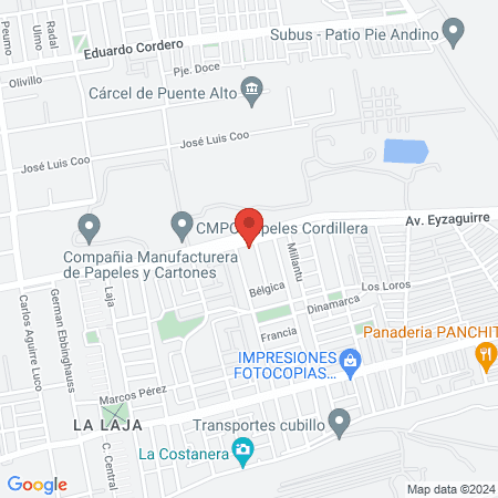 Hospital Veterinario Nuevo Porvenir map