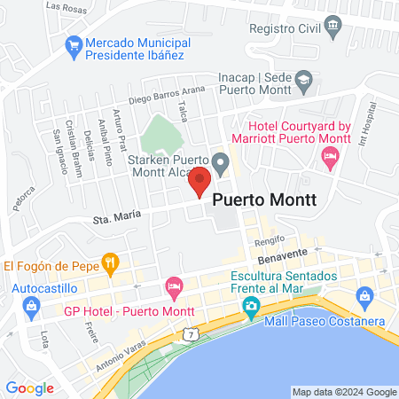 Clínica Veterinaria Petrohue map