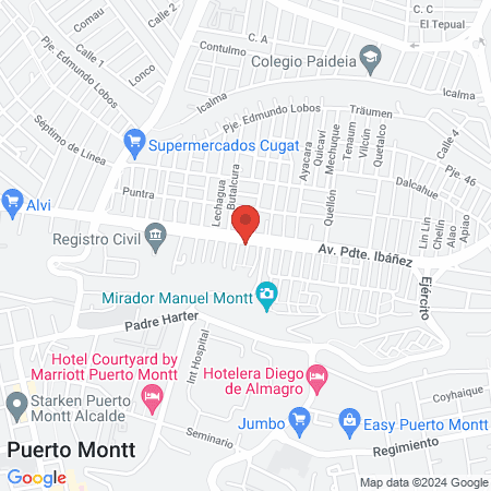 Clinica Veterinaria Los Lagos map