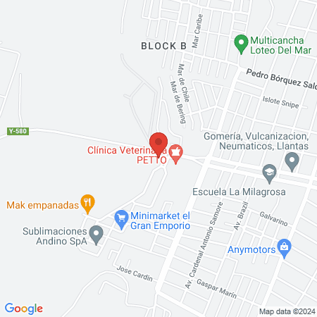 Mundo Pets Punta Arenas map