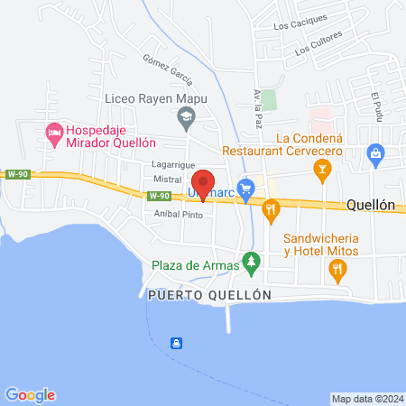 Kinesiólogo Andrés Lorca map