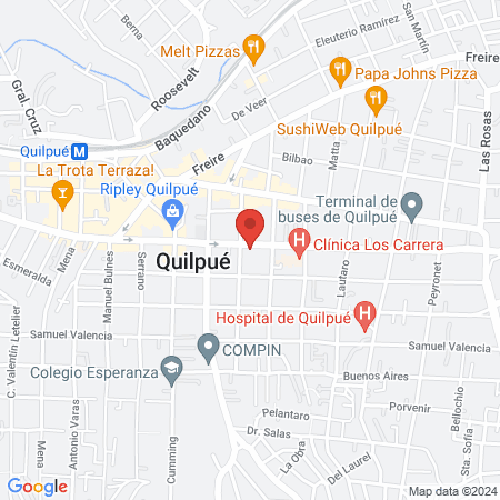Clínica Veterinaria Los Castaños Sucursal Quilpué map
