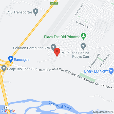 Peluqueria Canina Wisepi map