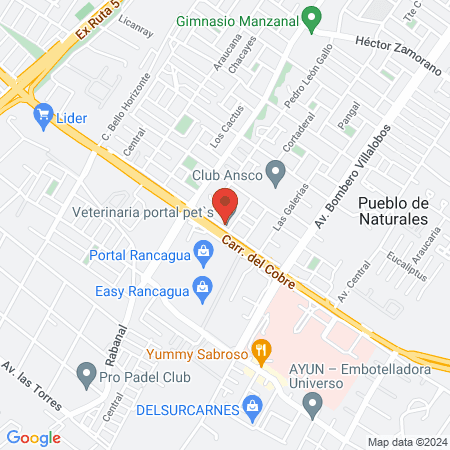 Veterinaria portal pet`s map