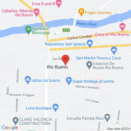 Veterinaria VIDA PET Río Bueno map