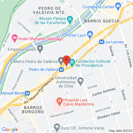 Centro Médico y Dental RedSalud Pedro de Valdivia map