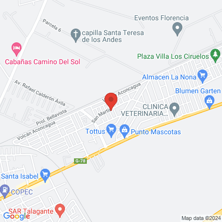 Clinica Veterinaria San Clemente map