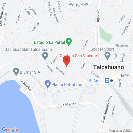 Cesfam San Vicente map