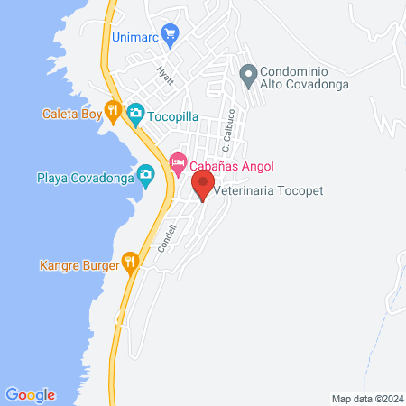 Veterinaria Tocopet map
