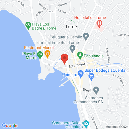 Clínica Veterinaria Inmunovet map