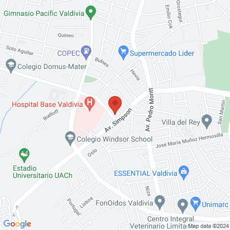 FThaus - valdivia map